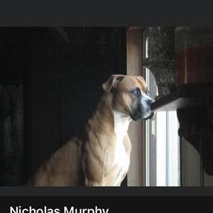 Meet your Posher, Nicholas